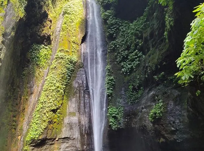 Sekumpul * Singaraja